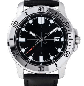 Professional Diver Watch